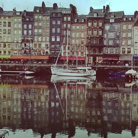 O P'tit 44 + Terrasse Dans Le Vieux *