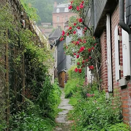 O P'tit 44 + Terrasse Dans Le Vieux * Honfleur