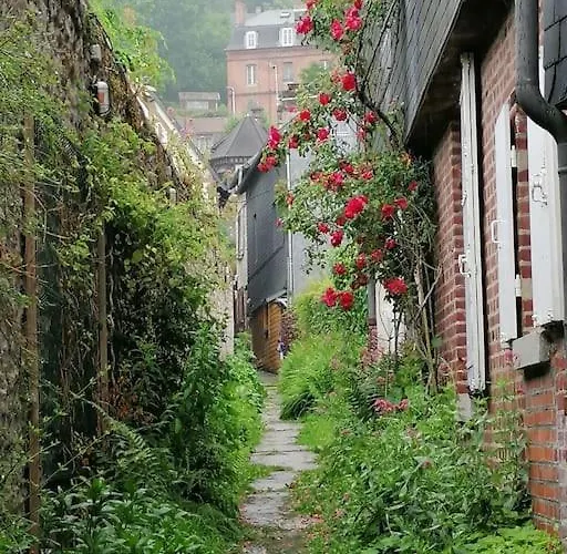 O P'tit 44 + Terrasse Dans Le Vieux * Онфлёр